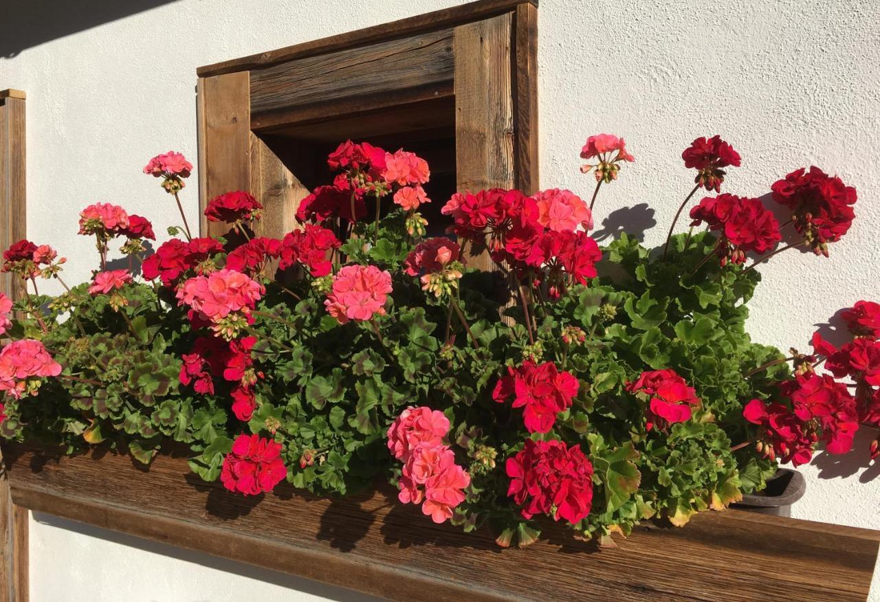 Haus Buchhammer Sankt Anton am Arlberg Ngoại thất bức ảnh
